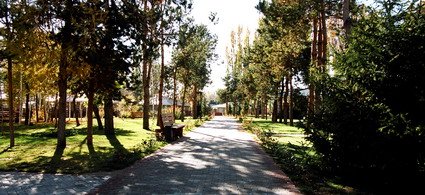 travel